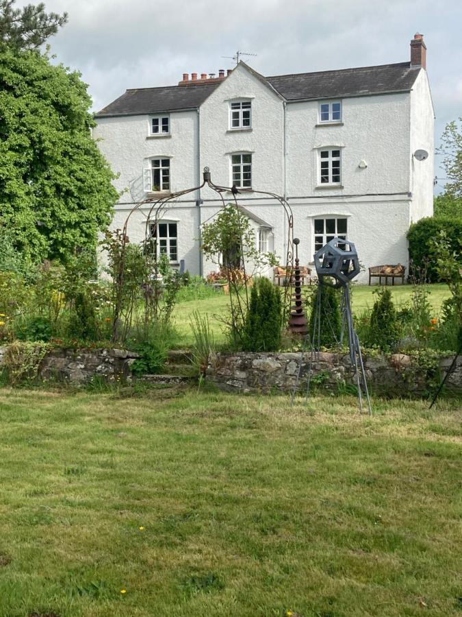 Art House B & B Raglan Exteriér fotografie