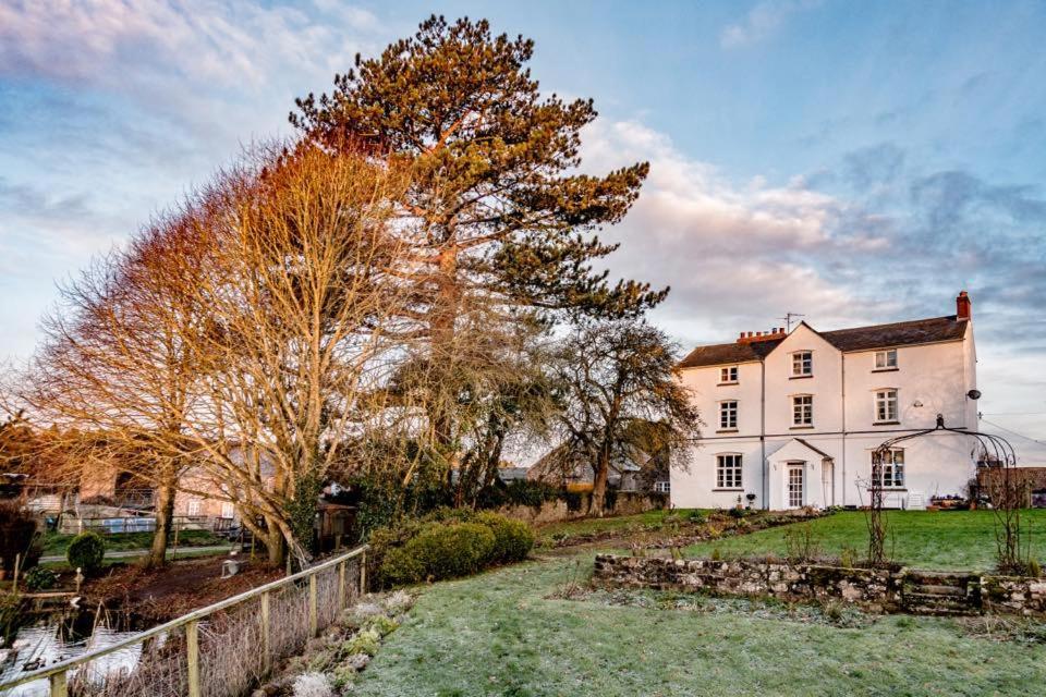 Art House B & B Raglan Exteriér fotografie