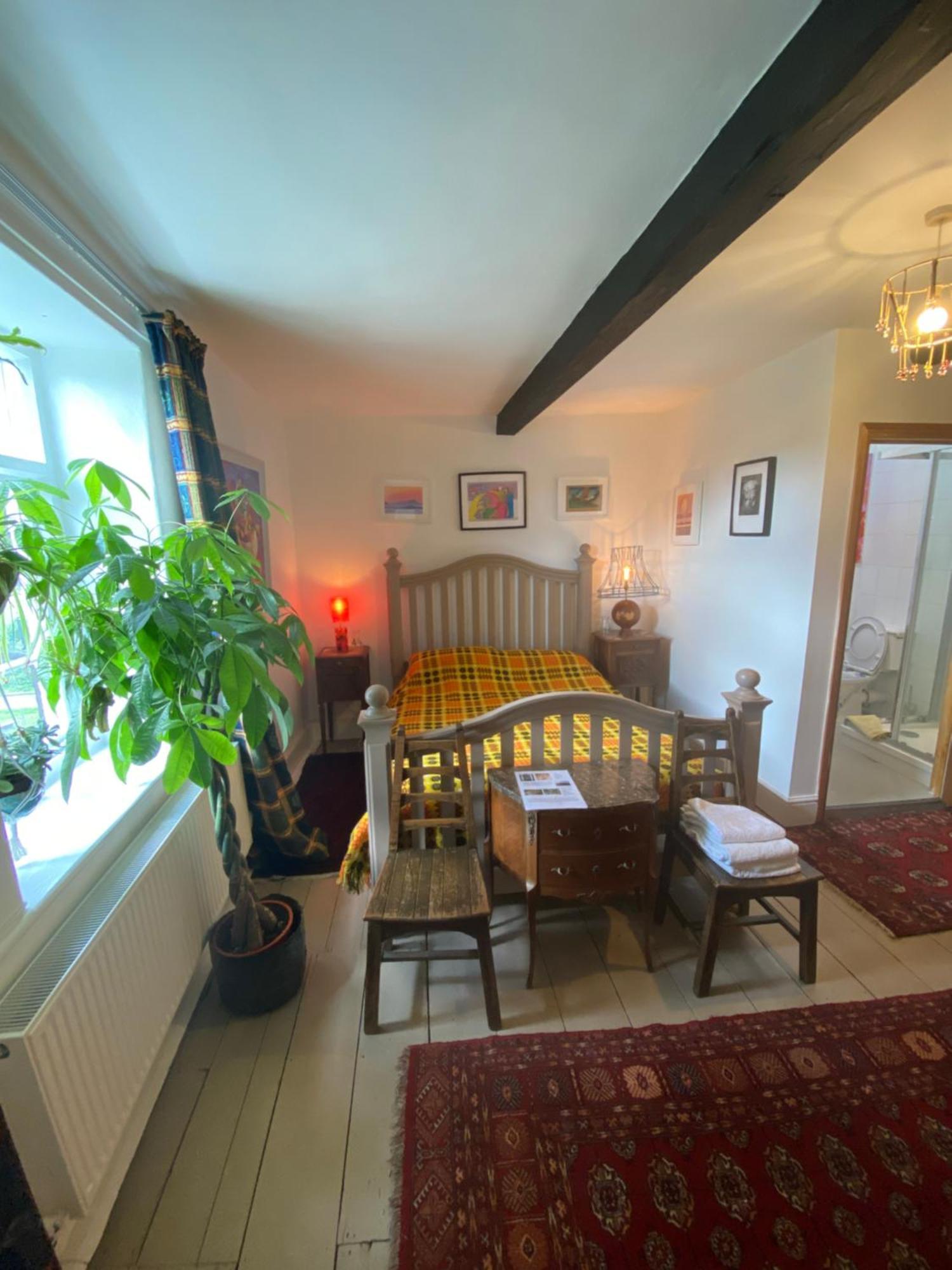 Art House B & B Raglan Pokoj fotografie